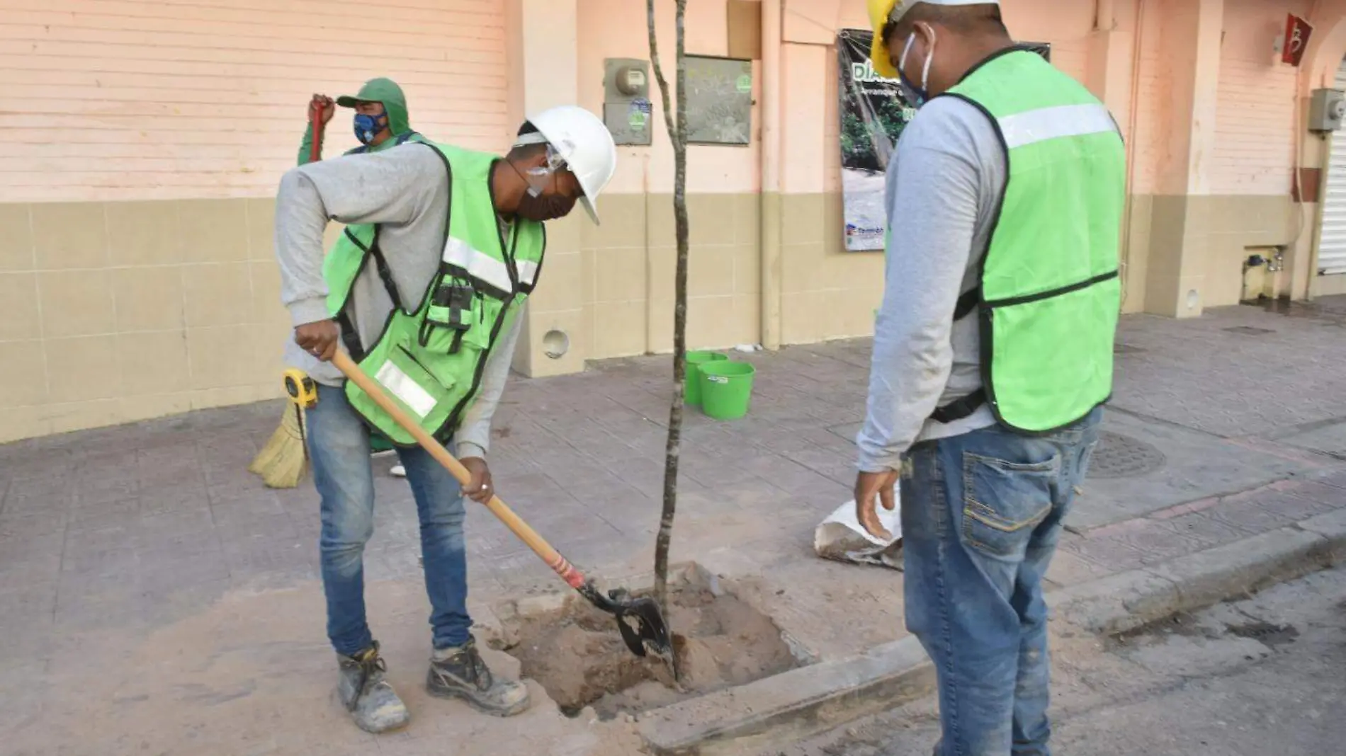 Resultados Reforestación Torreón 2020